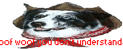 This flag faggotedly spammed to you by "mysterious loyall X" 10 times